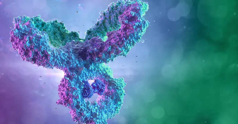 AI Antibody Drug Development