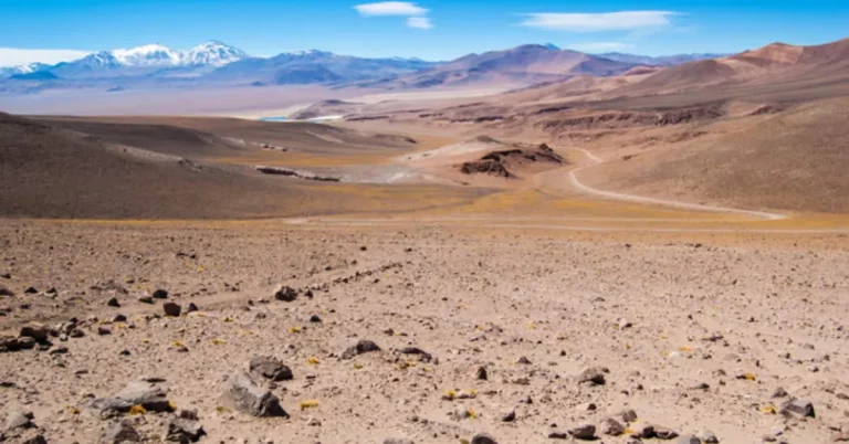 Atacama Water Harvesting