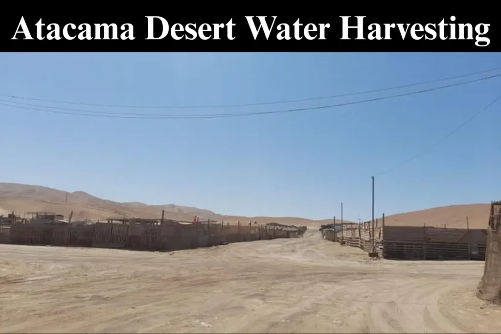 A view of the Atacama Desert with a dirt road leading through a fenced area under a clear blue sky, highlighting the arid environment where water harvesting research takes place.