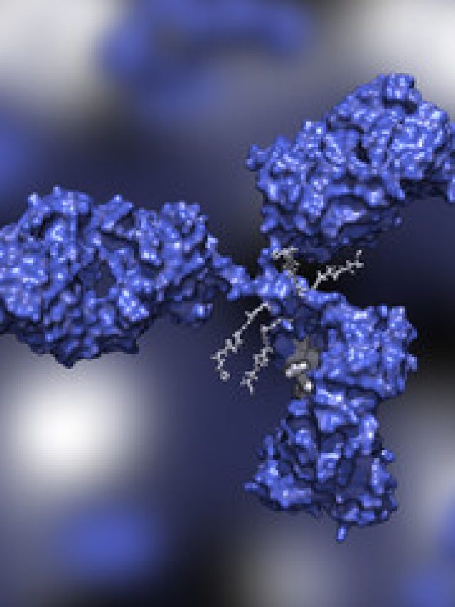 AI-Driven Antibody Drug Discovery | Next-Gen Biopharma