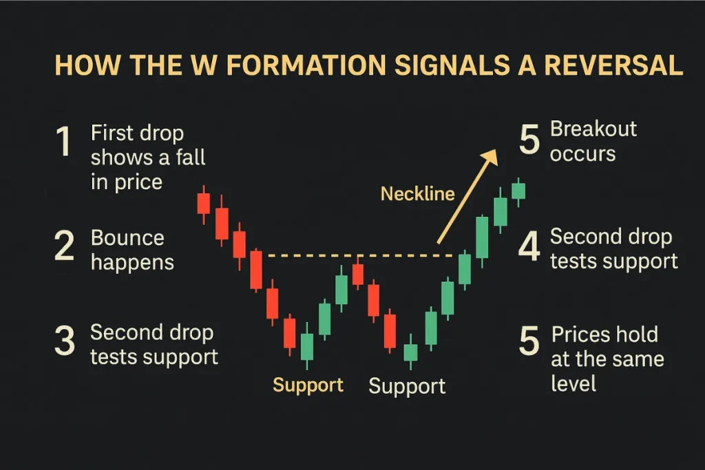 Step-by-step chart showing how the W-shaped double bottom pattern forms and signals a bullish reversal with labeled support, neckline, and breakout.